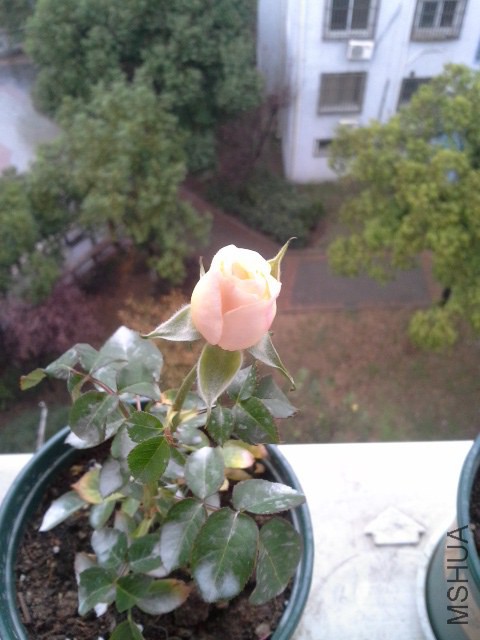 20141108_122654.jpg