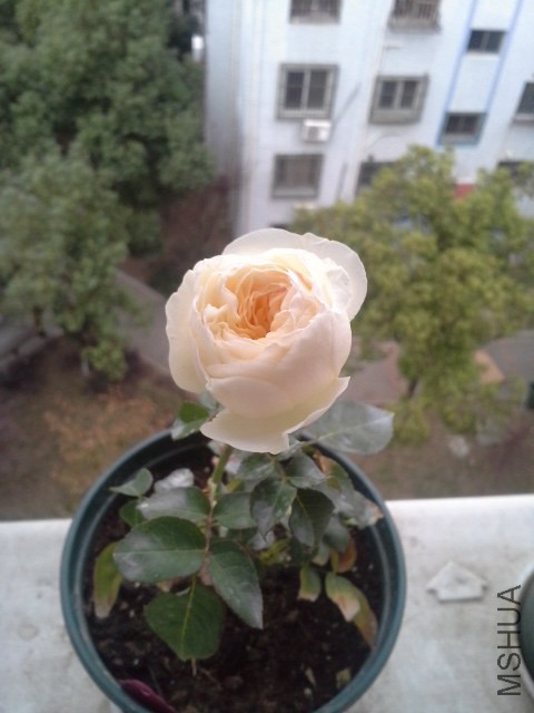 20141115_144752.jpg