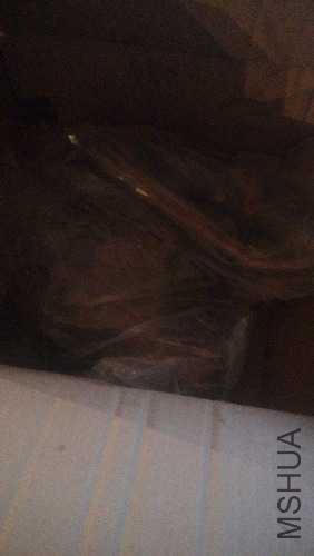 IMG_20141201_164248.jpg