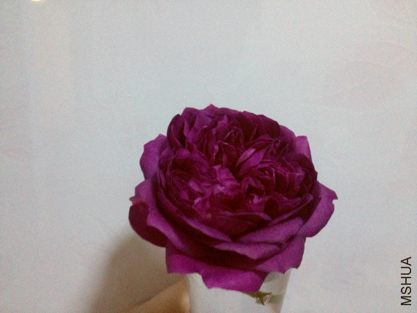 psb (1)_����.jpg