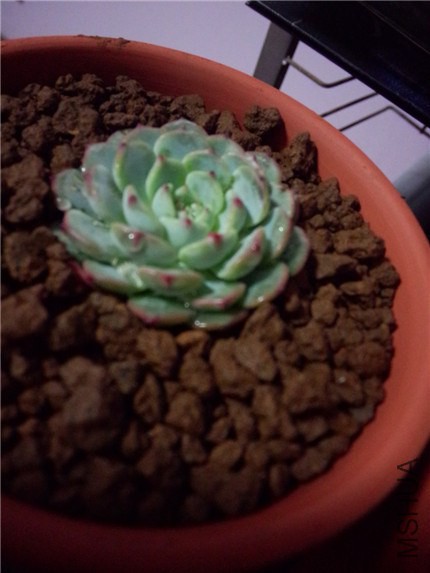 IMG20141130191910.jpg