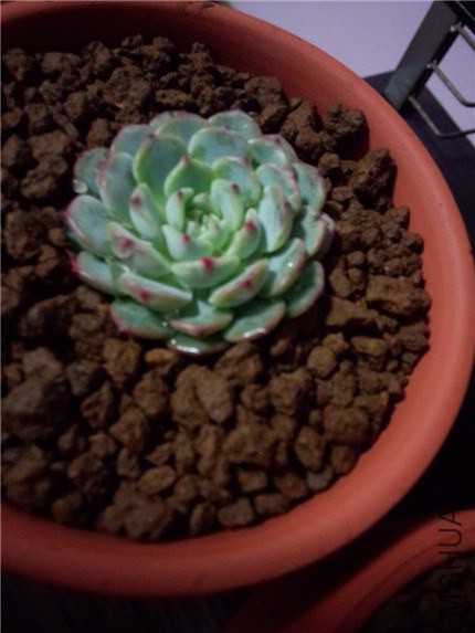 IMG20141130191916.jpg