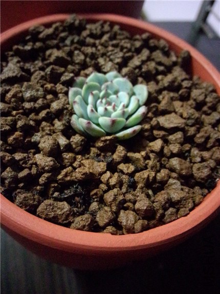 IMG20141130191818.jpg