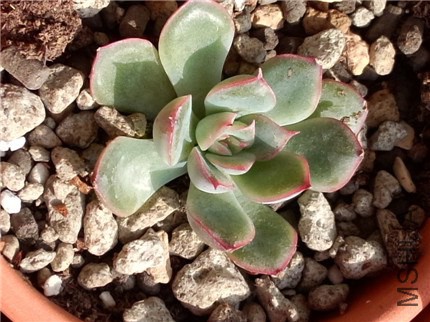 ����ҹ (1).jpg