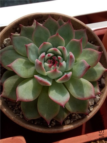 ������ (3).jpg