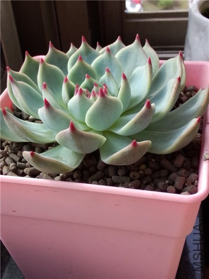 ���� (2).jpg