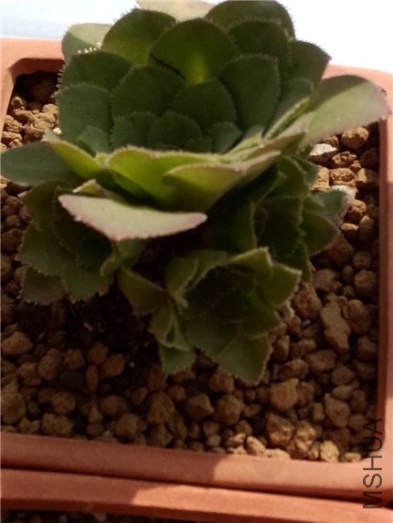 ���� (1).jpg