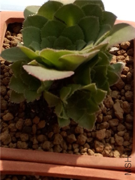 ���� (2).jpg