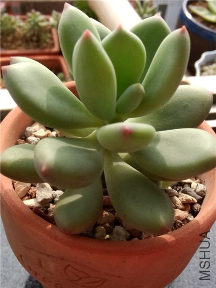 �������� (1).jpg