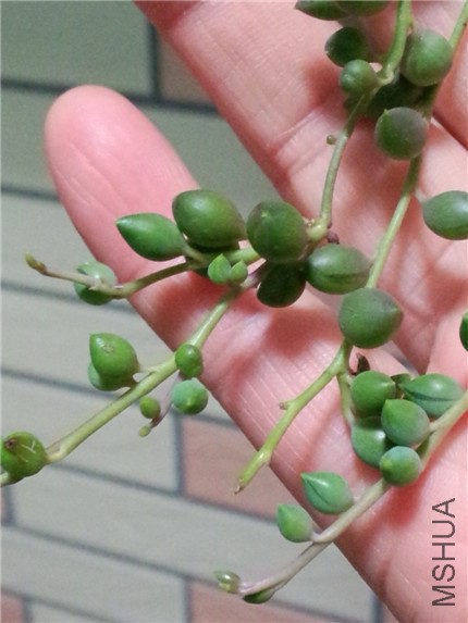 ������ (3).jpg