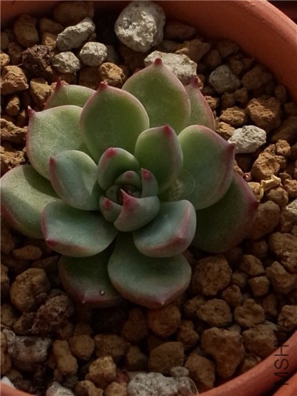 ˮ���� (1).jpg