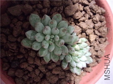 С���� (2).jpg