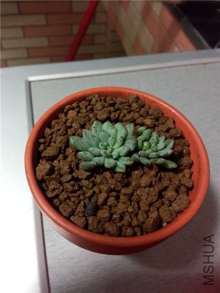 С���� (3).jpg