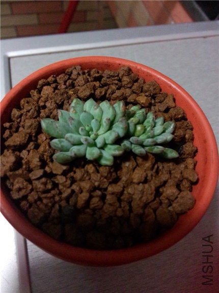 С���� (4).jpg