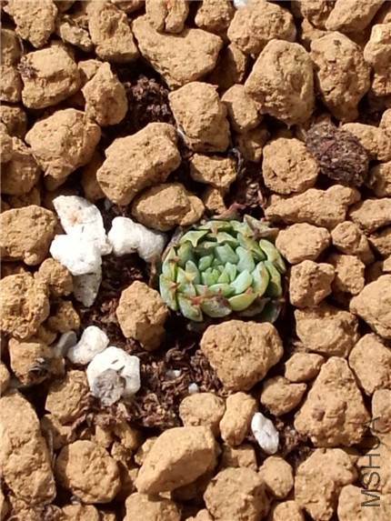 ��ȥ��С���� (1).jpg