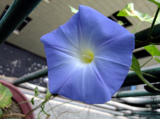DSCF3584.JPG