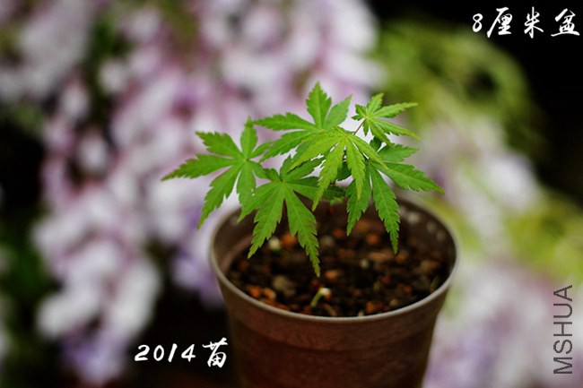 195117l3r56f1r6x1ykkyr_����.jpg