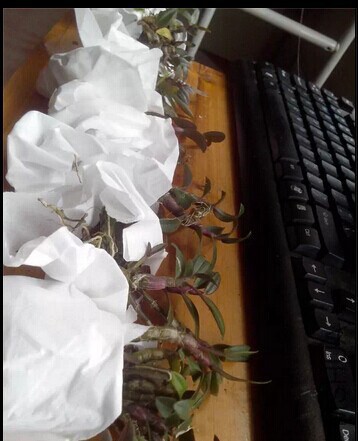 QQͼƬ20141202233053.jpg
