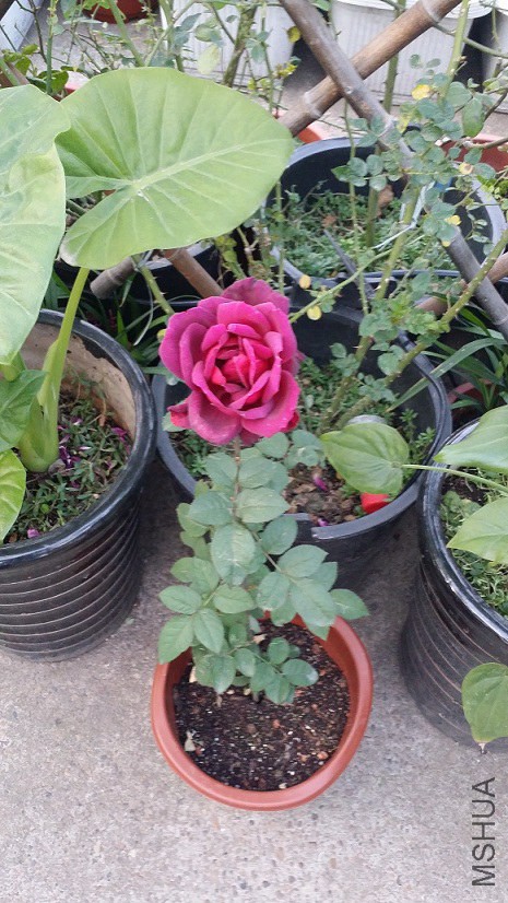 20141202_170110-1.jpg