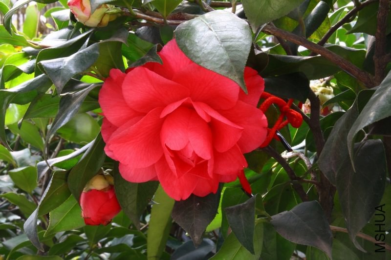 �軨���ã�����һ�� 004.jpg