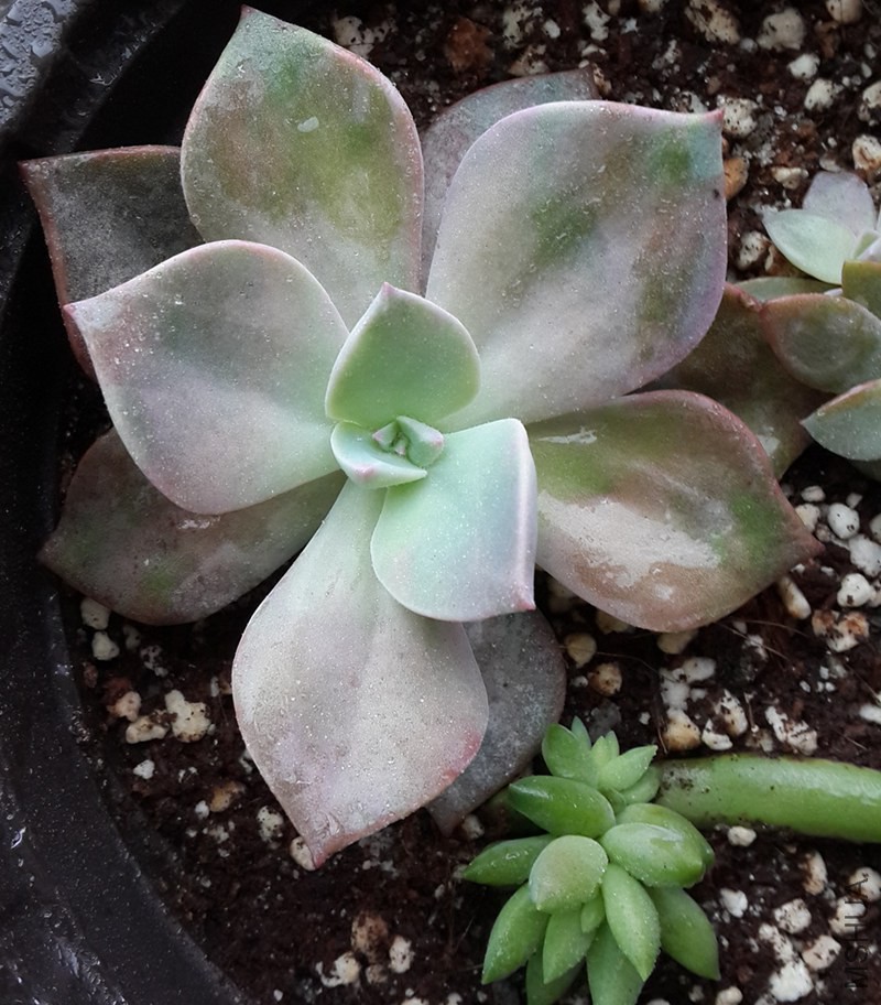 20141129_093104.jpg