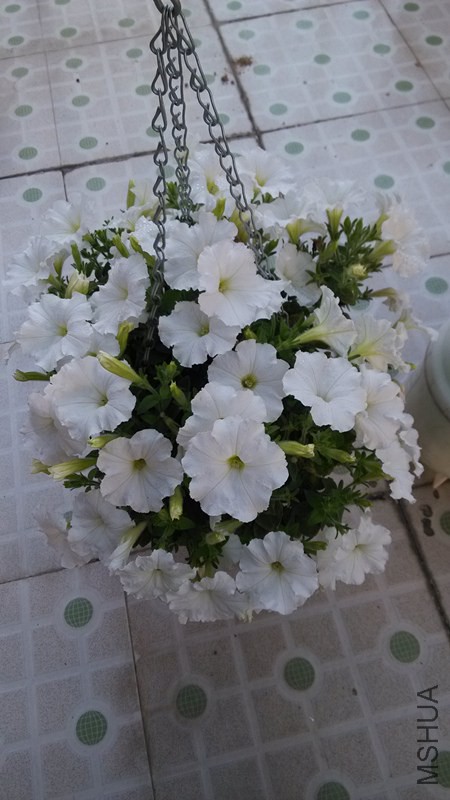 IMG_20140605_182156.jpg