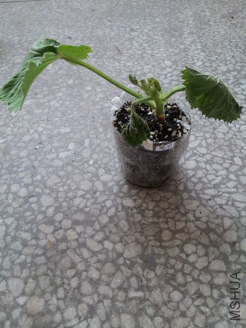 ����Խ��Խ����