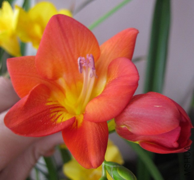 С����_ �ذ��1 1.jpg