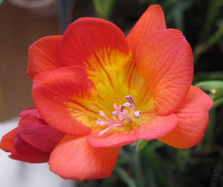 С����_ �ذ��1.jpg