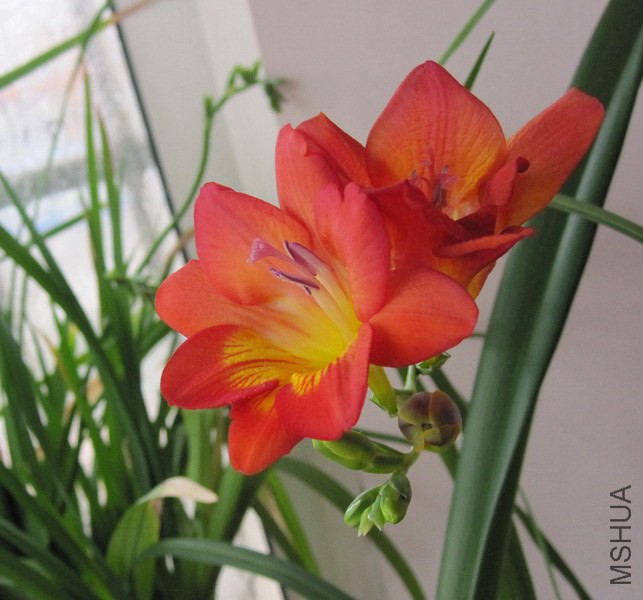 С����_ �ذ��1 2.jpg