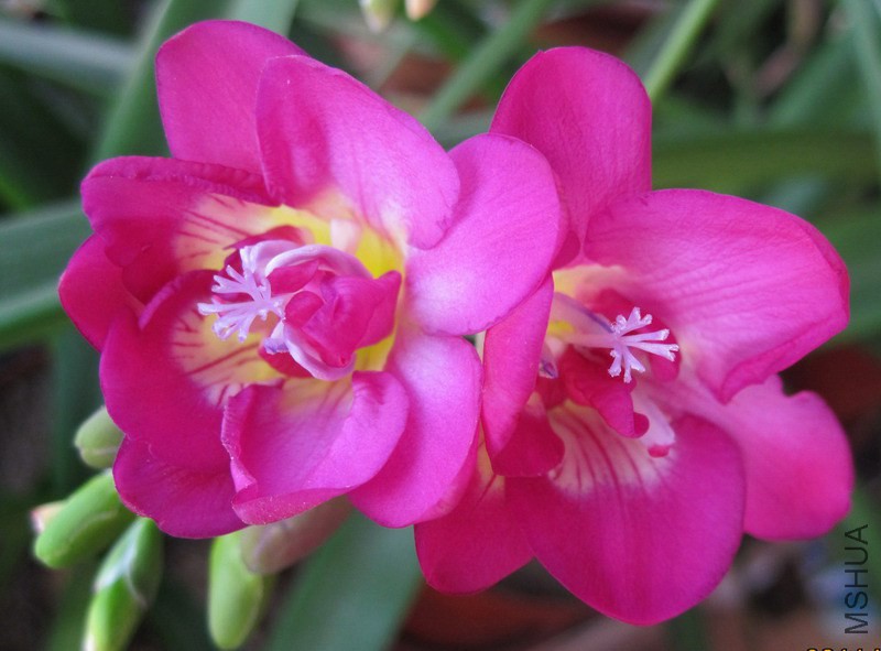 �ذ�õ��С���� 1.jpg