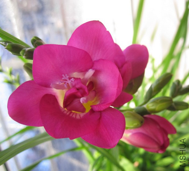 �ذ�õ��С���� 4.jpg