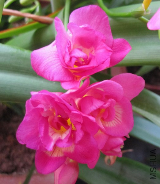 �ذ�õ��С���� 2.jpg