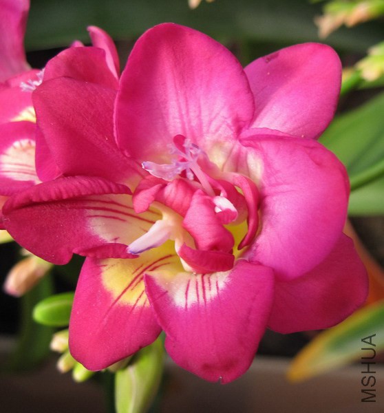 �ذ�õ��С���� 3.jpg