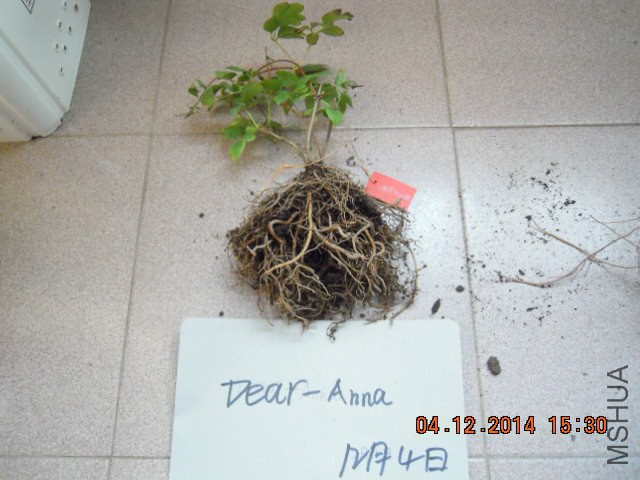 DSCN3089.JPG
