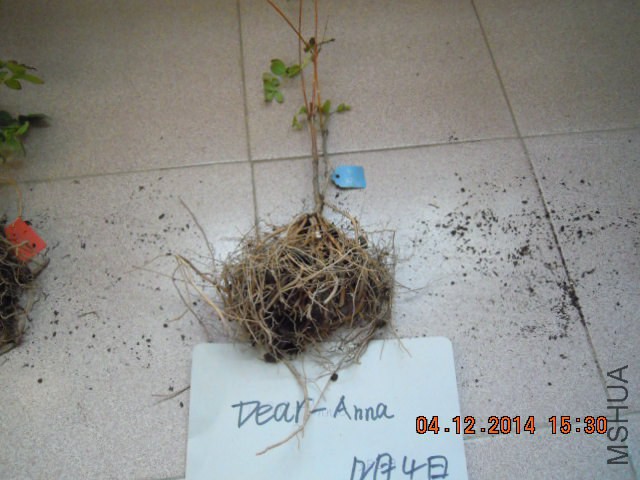 DSCN3090.JPG