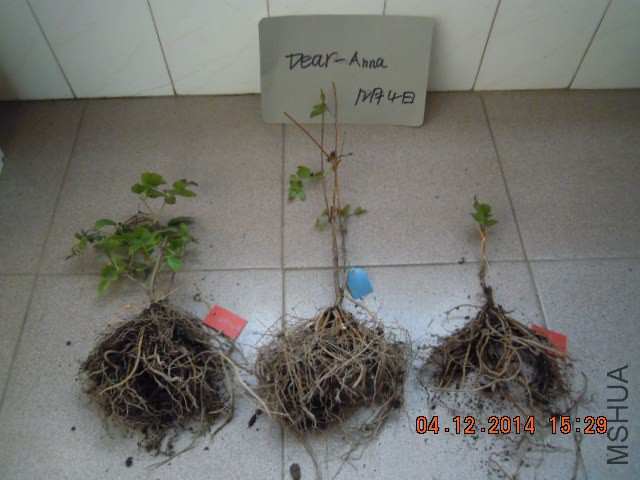 DSCN3088.JPG
