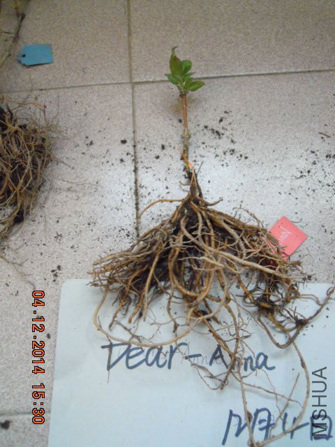 DSCN3091.JPG