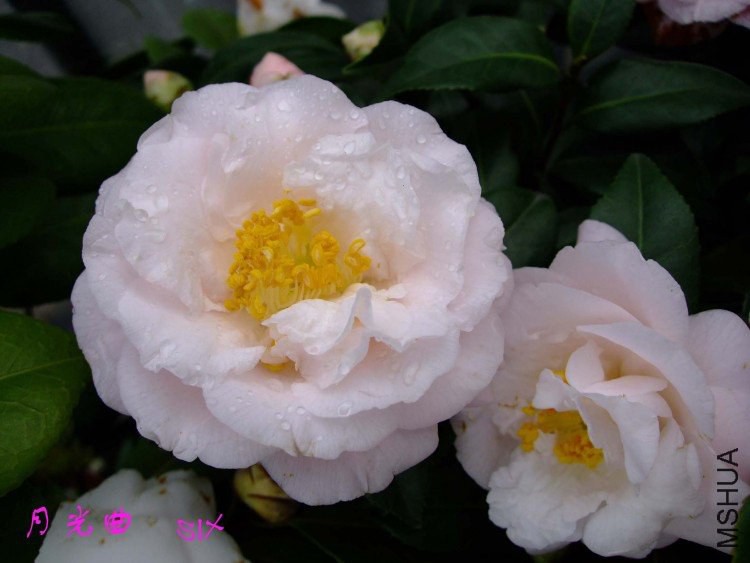 �¹��� 10-3-7f.jpg