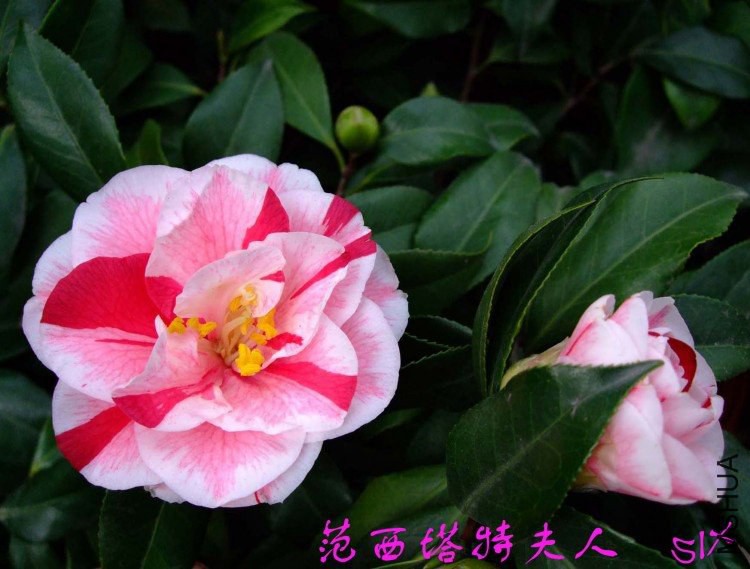 ���� 10-3-13f (1).jpg