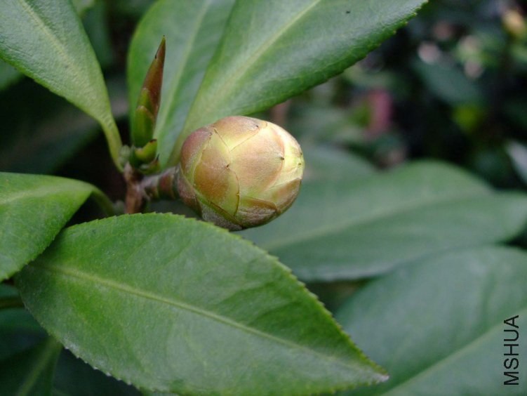 ������ 2012-10-slx 005.jpg