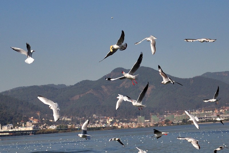 DSC_2502 - ����.jpg