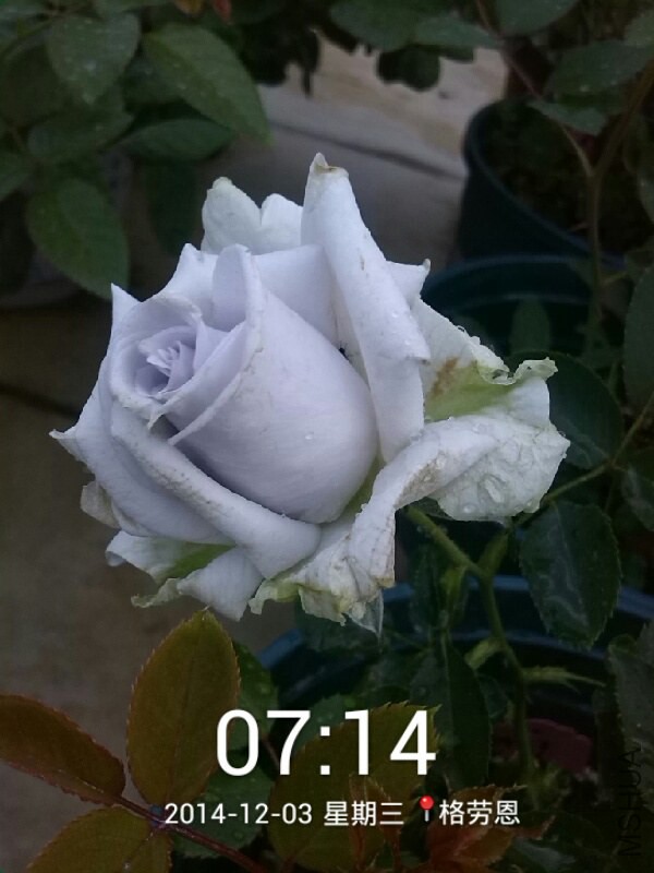 2014_12_03_07_14_59.jpg