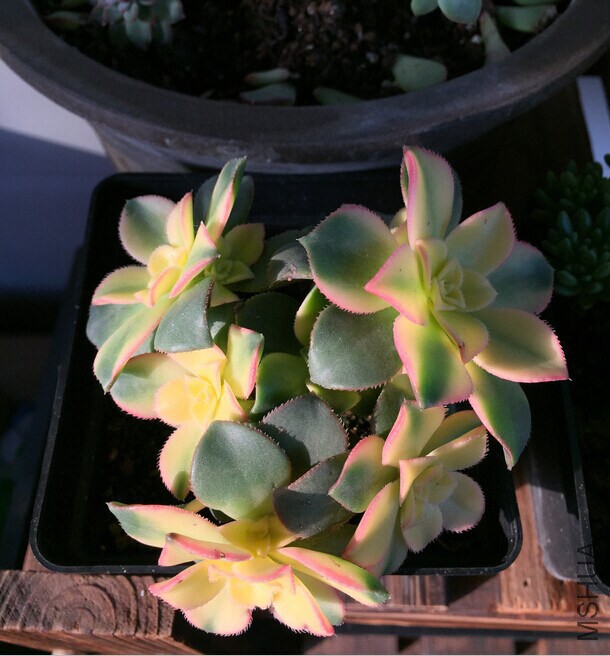 QQͼƬ20141205090305.jpg