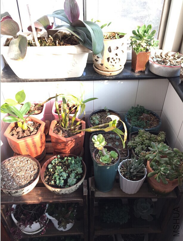 QQͼƬ20141205090244.jpg
