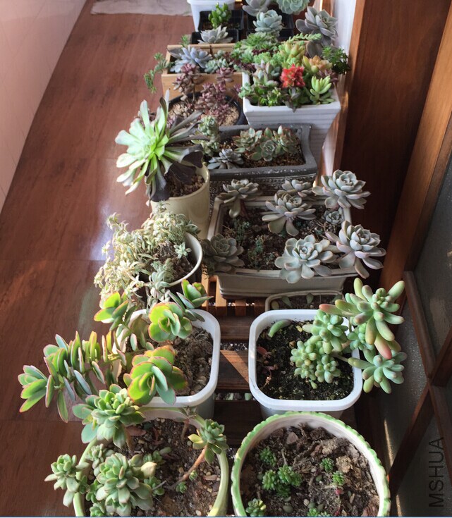 QQͼƬ20141205090229.jpg