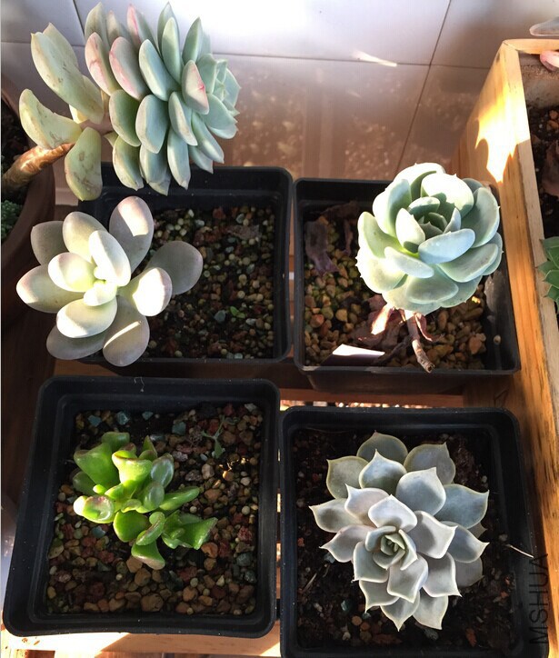 QQͼƬ20141205090429.jpg