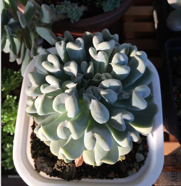 QQͼƬ20141205090401.jpg