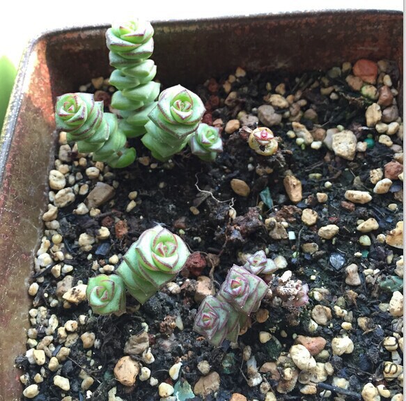 QQͼƬ20141205090746.jpg