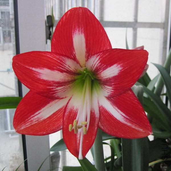 09-03 ����ɭ��20���Խ� 1.jpg